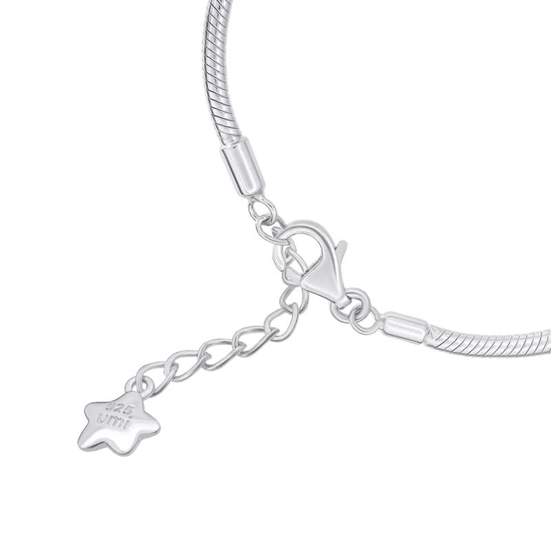Срібний браслет-ланцюжок Снейк, 140-165 мм фото